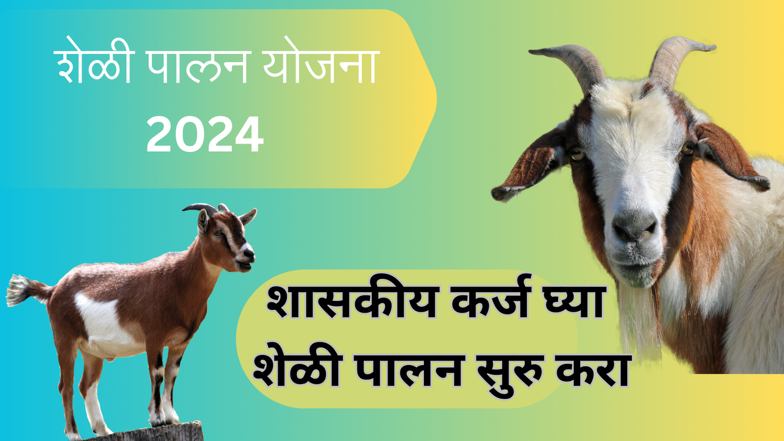 Sheli Palan Yojana 2024